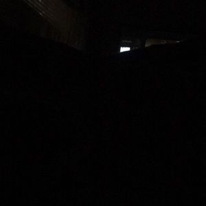 Meet your Posher, Albert